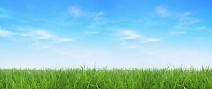 The 180 Difference: Building Great Websites