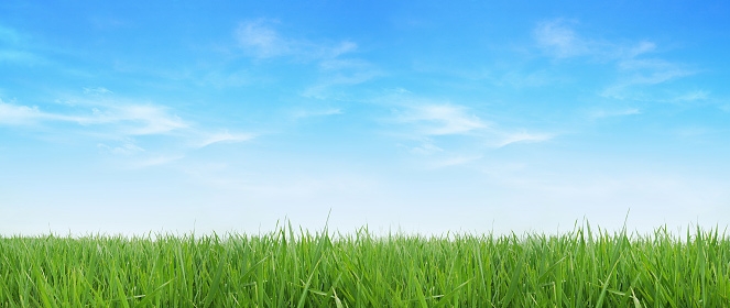 The 180 Difference: Building Great Websites